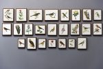 frames